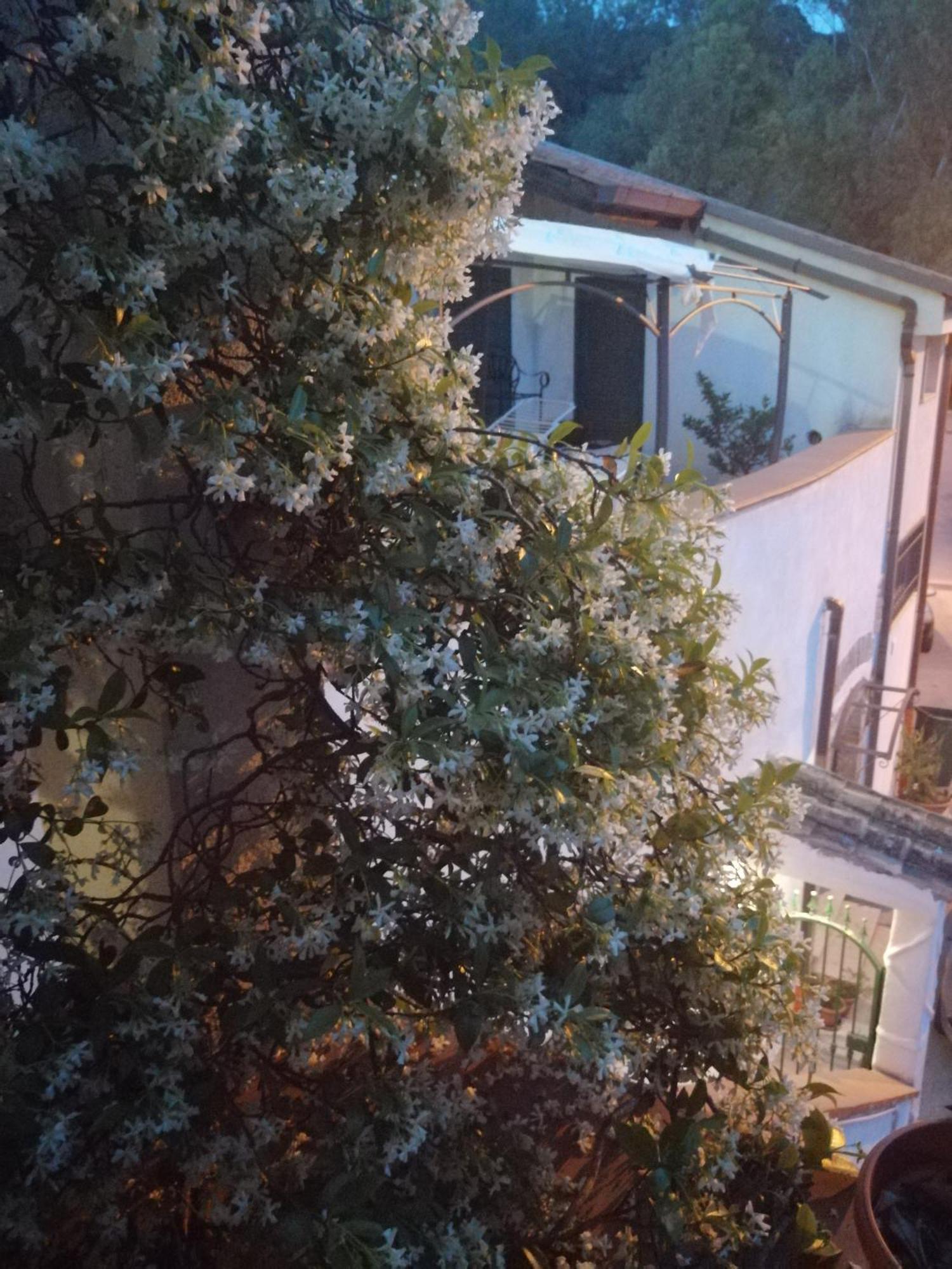 B&B Moscani Salerno Exteriér fotografie